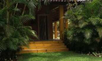 Imagem 2: SITIO RURAL em CAMAÇARI - BA, AREMBEPE