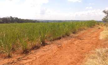Imagem 3: Lindo sitio com 30 mil m², frente para o asfalto, açude grande nos fundos