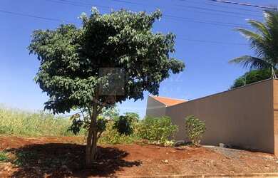 Imagem 4: Lote para venda em Jardinopolis-SP, no Boulevard Adib Rassi, nas margens da Vicinal Aziz R