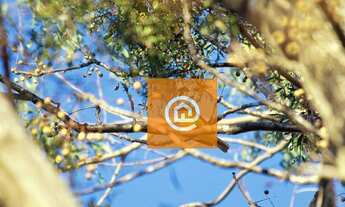 Imagem 6: Terreno à venda, 360 m² por R$ 359.000,00 - Mina - Itupeva/SP