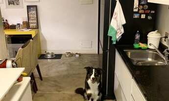 Imagem: APARTAMENTO - PANAMBY - SP