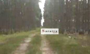 Imagem 3: Fazenda à venda, 6020000 m² por R$ 69.000.000 - Zona Rural - Capivari do Sul/RS