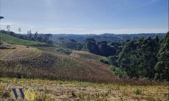 Imagem 5: Chácara para Venda em Balsa Nova, Bugre/Rodeio Santo Antônio