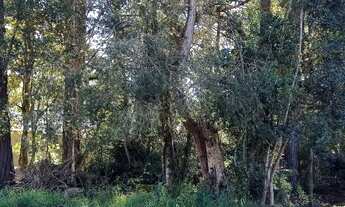 Imagem 3: Lote/Terreno para venda possui 455 metros quadrados em Jardim dos Estados 1 - Piraquara