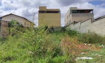 Imagem 4: Lote 360 m² murado