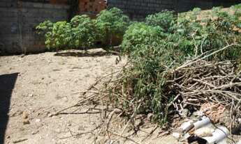 Imagem 3: Terreno - Venda - Parque Centenário - Cod. 75