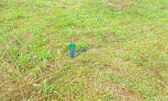 Imagem 3: Vendo terreno de 10.615 m² em Santo Amaro da Imperatriz