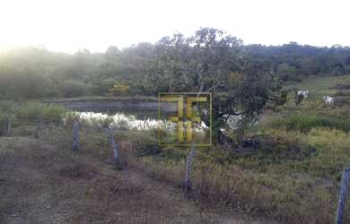 Imagem 3: Fazenda 160 Alqueires, Araguapaz, GO