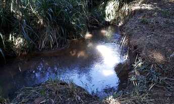 Imagem 5: Fazenda/Sítio/Chácara para venda com 7200 metros quadrados com 3 quartos