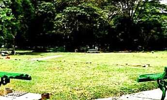 Imagem 3: Vendo Jazigo no cemitério da Paz