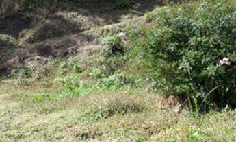 Imagem 2: Lote com 1500m2 em condomínio no Cônego - Nova Friburgo