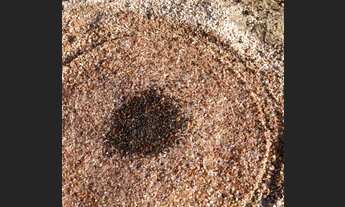 Imagem 2: Área P/ Mineração Diamantes Interior De MG