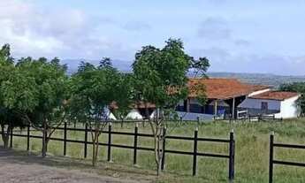 Imagem 7: Haras para Venda em Gravatá, Gravatá Centro