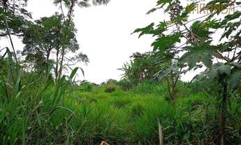 Imagem 2: Terreno comercial à venda, Chácaras São Bento, Valinhos