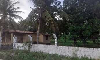 Imagem 5: Sítio com casa em Paraipaba /Camburão