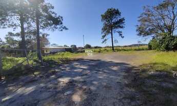 Imagem: FLORIANóPOLIS - Terreno Padrão - Campeche