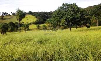 Imagem 7: Venda Commercial / Agricultural Mateus Leme MG
