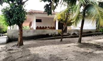 Imagem: Granja Punaú, 6.5 Hectares, Completa, 1000