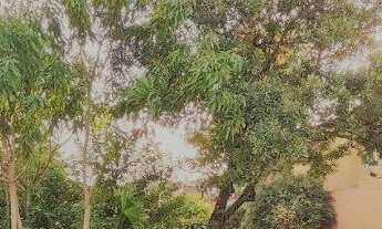 Imagem 3: Terreno Plano Residencial 2 Alphaville - Total 575 m2 - próximo da portaria