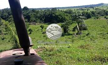 Imagem 5: Jaru - Sítio - Fazenda / sítio com venda por R$3.200.000