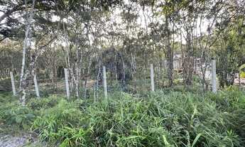Imagem 3: Terreno para Venda em Pontal do Paraná, SHANGRI-LA