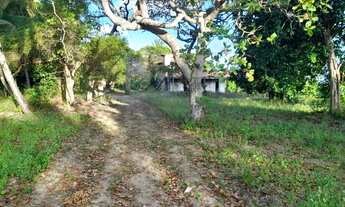 Imagem: Lote/Terreno para venda tem 2000M² - Mata