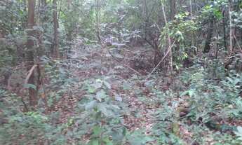 Imagem 7: Chácara de 2 alqueires em Pirenópolis - GO