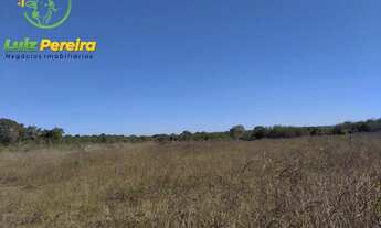 Imagem 3: FAZENDA À VENDA EM PEIXE - TO - 2.226,4 HECTARES (DUPLA APTIDÃO