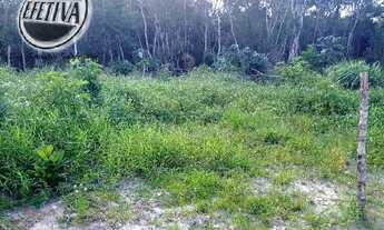 Imagem 3: TERRENO DE 12X30 M² -BALNEÁRIO BETARAS-MATINHOS-PR