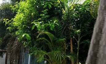 Imagem 3: Casa em Condomínio para Locação em Camaçari, Barra do Jacuípe, 3 dormitórios, 2 suítes, 3