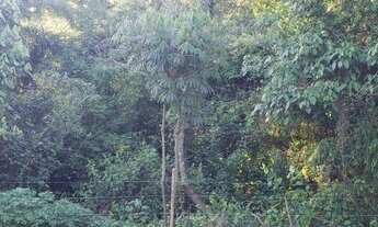 Imagem 4: Área à venda, 9800 m² por R$ 1.100.000,00 - Ribeirão dos Porcos - Atibaia/SP