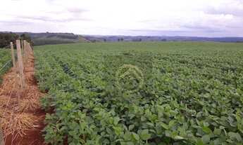 Imagem 3: Fazenda à venda, 2879800 m² por R$ 28.000.000,00 - São Domingos - Marmeleiro/PR