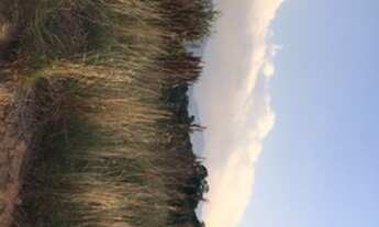 Imagem 7: Troco terreno por veículo em Nazaré!!!