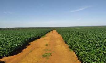 Imagem 3: Venda Fazenda - 1.140 hectares - Lucas do Rio Verde - MT