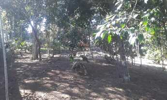 Imagem 2: Terreno para Venda em Saquarema, Leigos