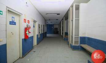 Imagem 6: São Paulo - Prédio Inteiro - Santo Amaro