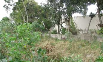 Imagem 4: LOTE UVARANAS Terreno / lote com venda por R$200.000