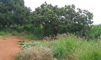 Imagem 2: Fazenda/Sítio/Chácara para venda possui 20000 metros quadrados