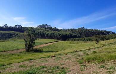 Imagem 2: TERRENO BOM E BARATO SO EM NAZARE PAULISTA