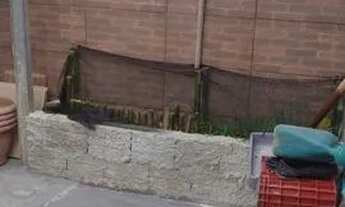 Imagem: Vende se ou troca se por chácara somente