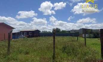 Imagem 4: Lindo terreno a 900 metros da RS040