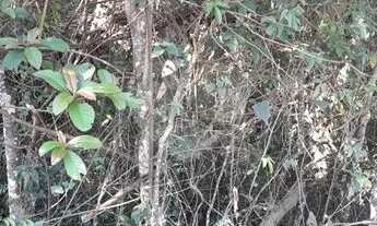 Imagem 2: Terreno à Venda no Parque Petrópolis com 978m²