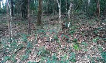 Imagem 2: Lote com 1402M² no condomínio Alpes da Cantareira em rua tranquila