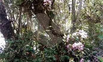 Imagem 6: Mairiporã - Terreno Padrão - Barreiro