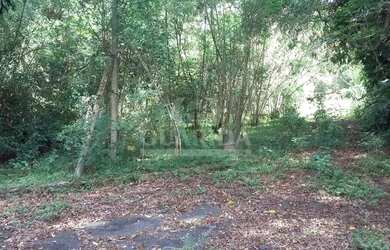 Imagem 6: Terreno medindo 10.657 m² na Ponta Grossa