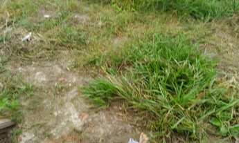 Imagem 2: CHÁCARA BOFETE Fazenda / sítio com venda por R$220.000