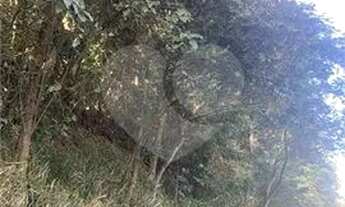 Imagem 2: Terreno uso comercial /residencial Mairiporã