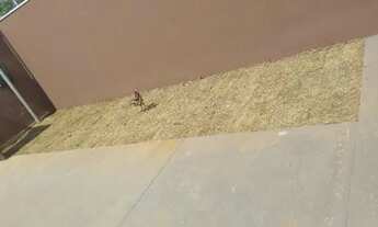 Imagem 7: Casas na Nova Campo Grande - 3 Quartos 2 Banheiros