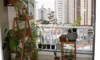 Imagem 7: São Paulo - Apartamento Padrão - Vila Gumercindo