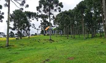 Imagem 3: Chácara em Campo Alegre/SC